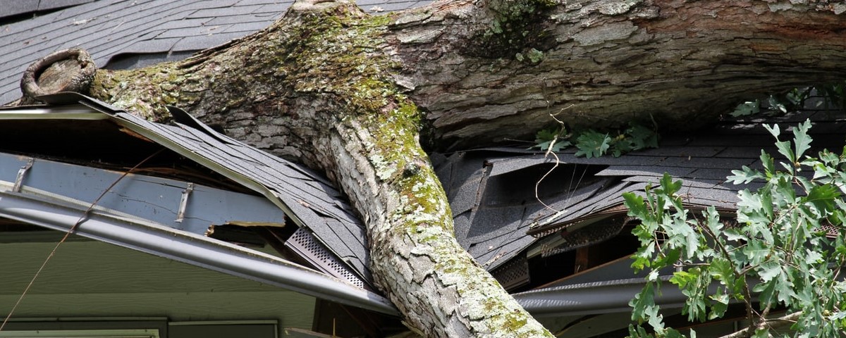 découvrez comment notre assurance habitation vous protège contre les catastrophes naturelles et imprévues. bénéficiez d'une couverture complète pour sécuriser votre domicile et vos biens, tout en ayant l'esprit tranquille face aux aléas de la vie.