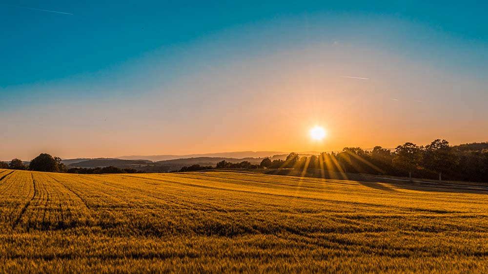 analyse de l'explosion des coûts liés aux sinistres climatiques et ses impacts économiques et environnementaux.